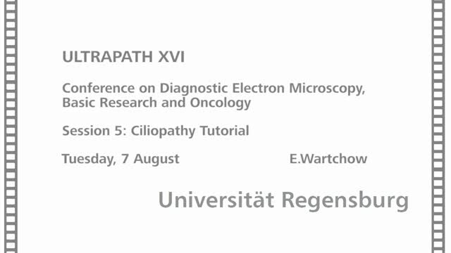 Ultrapath XVI (6): Session 4.2: Ciliopathy Derived Diseases