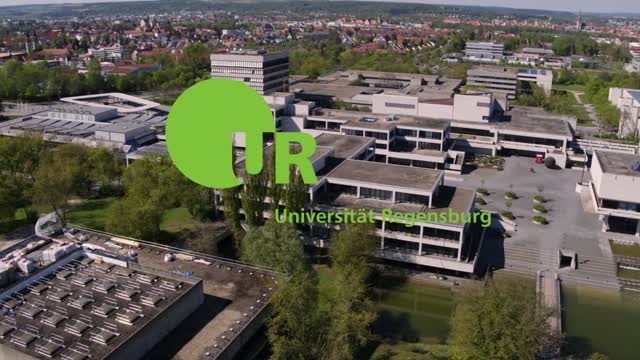 Studiengang: Betriebswirtschaftslehre (BWL)