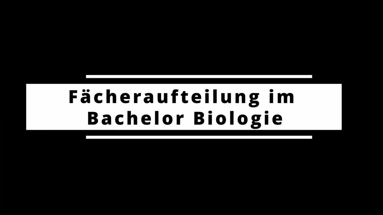 Fächeraufteilung im Bachelor Biologie