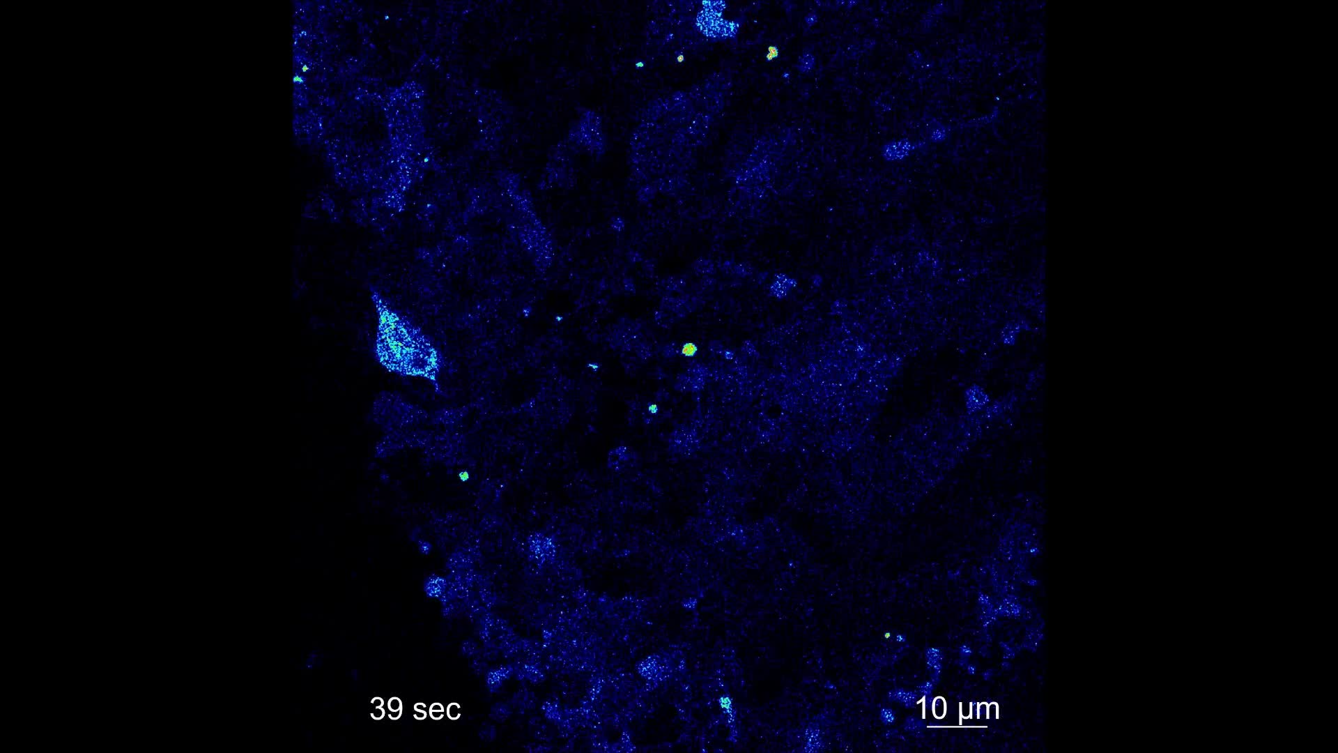 Hochgeladenes Medium 68f78654a2ea55.33439887