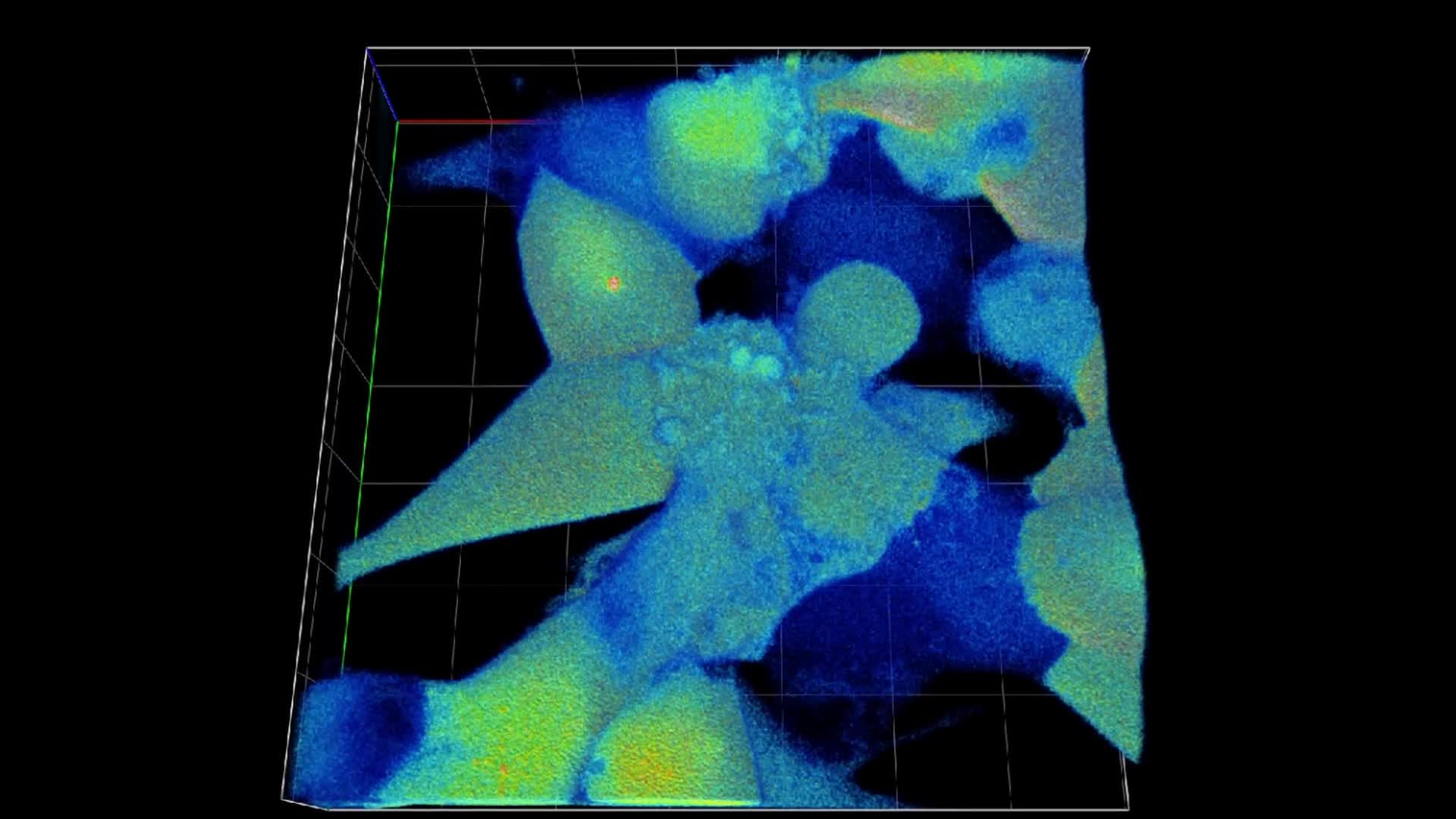 Hochgeladenes Medium 68f7a3ce058ee0.23375081