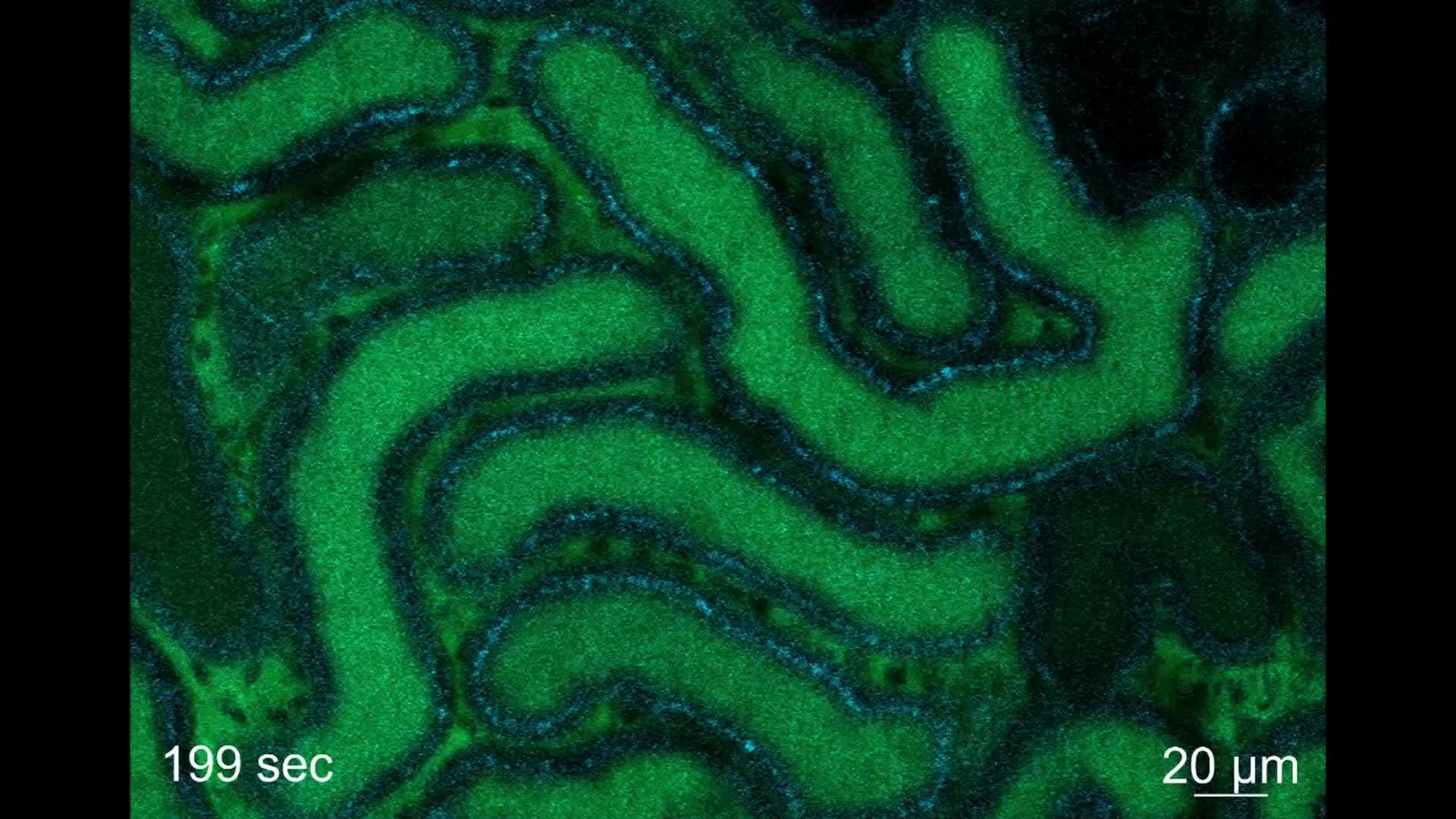 Hochgeladenes Medium 68f7baf6d705a6.69291340