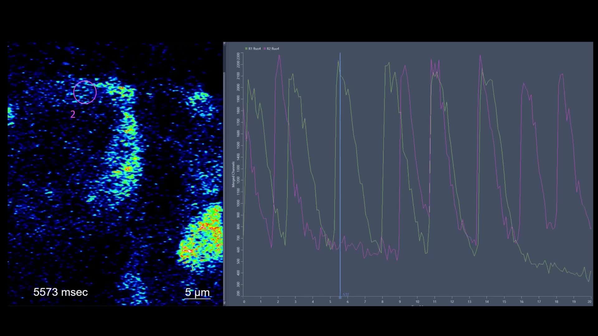 Hochgeladenes Medium 68f8d43ddf6ae2.34764598