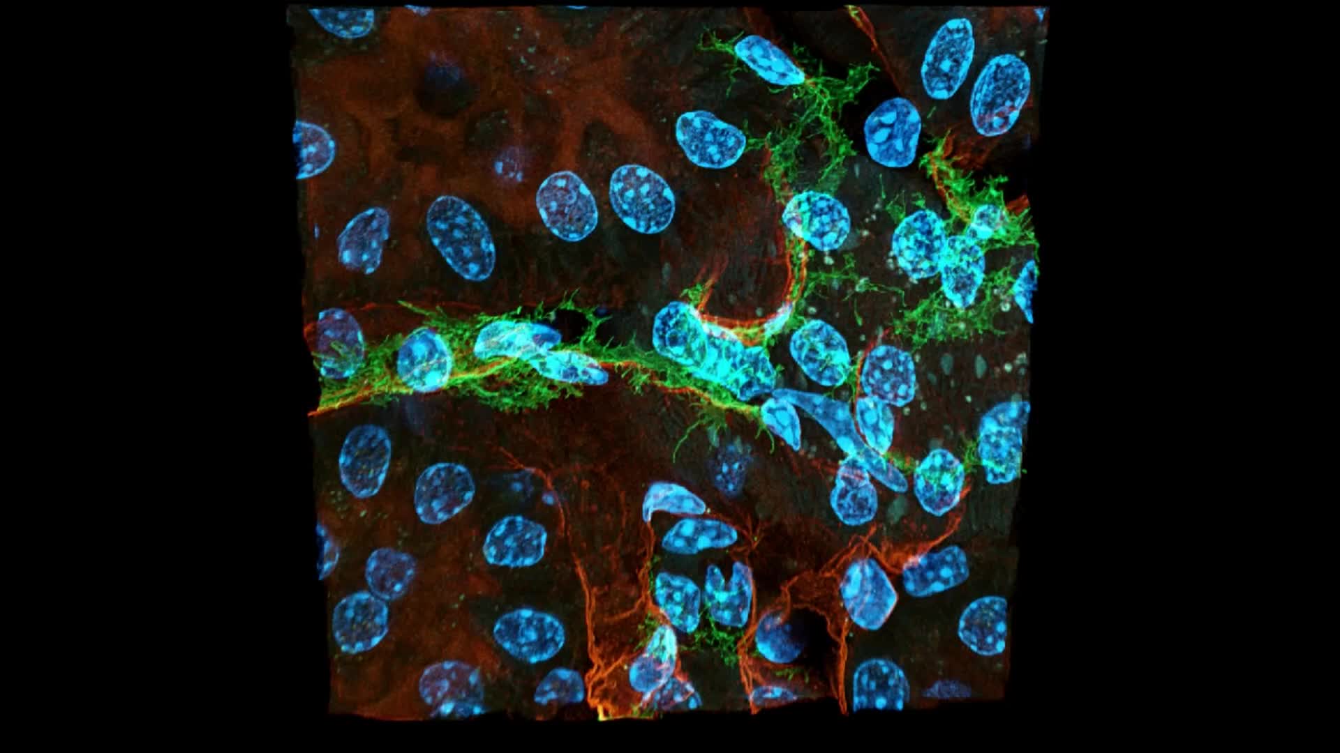 Hochgeladenes Medium 68f8eebbd5aa74.08007320