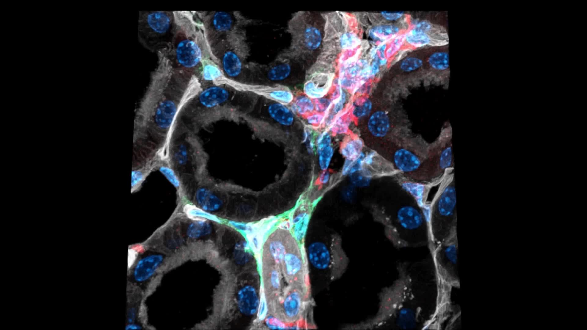 Hochgeladenes Medium 68f9c243a342c8.54944702
