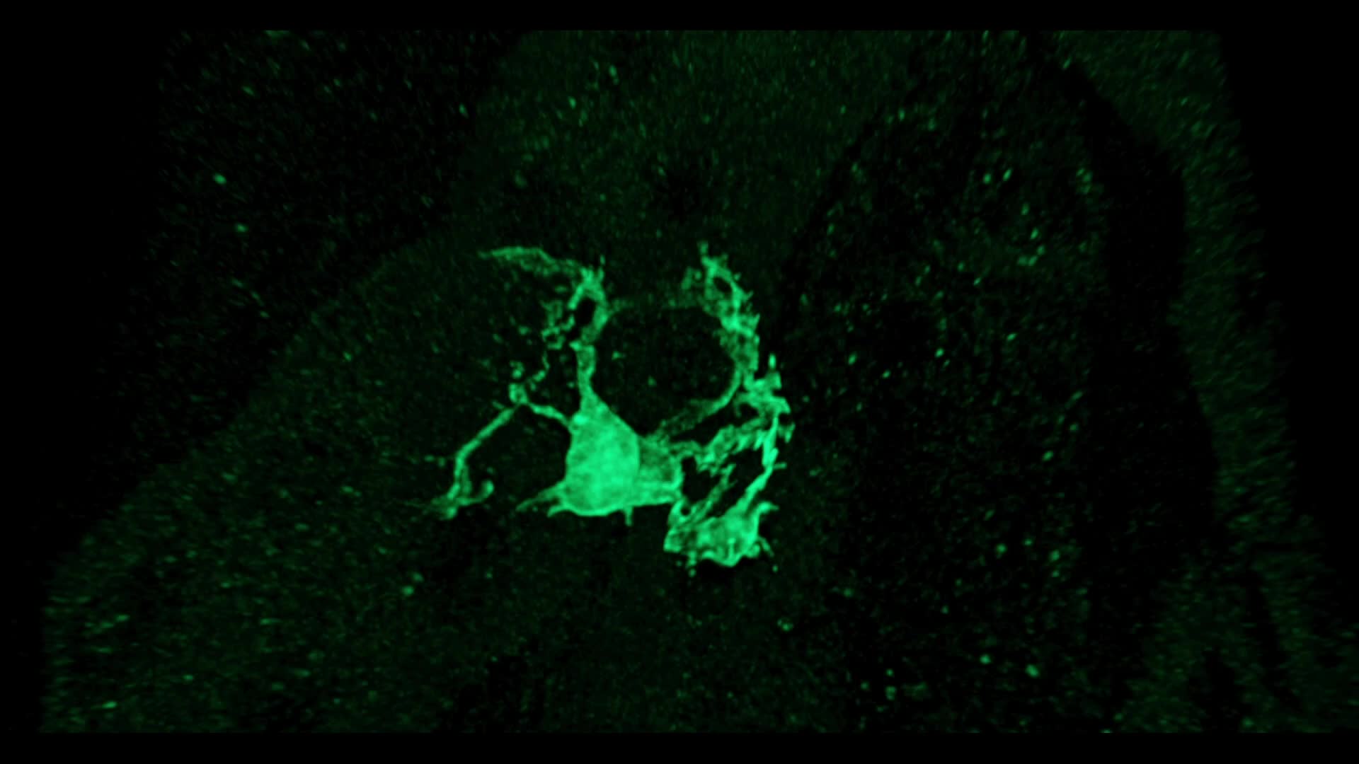 Hochgeladenes Medium 69bacc5c723cd9.90490710