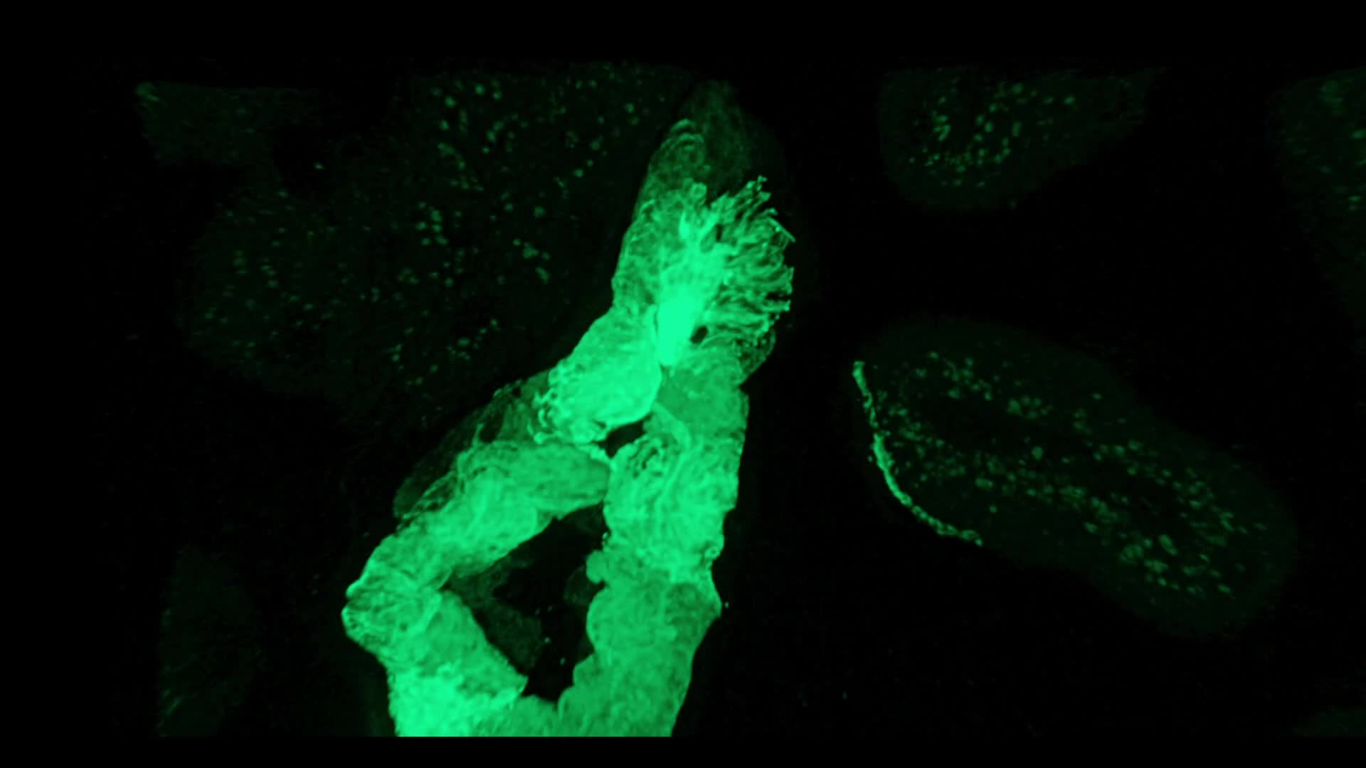 Hochgeladenes Medium 69bae25e54f1b0.85937530